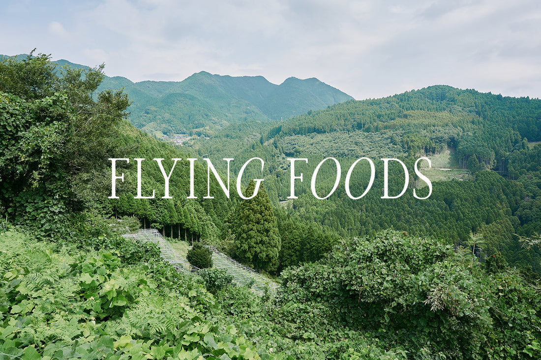 VERTシェフ田中俊大が共同代表に就任。「株式会社FLYING FOODS」設立
